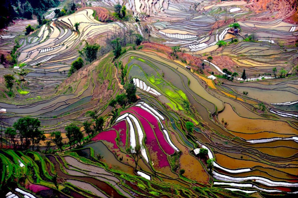 Spectacular rice-paddy terracing. Photo: thousandwonders.net