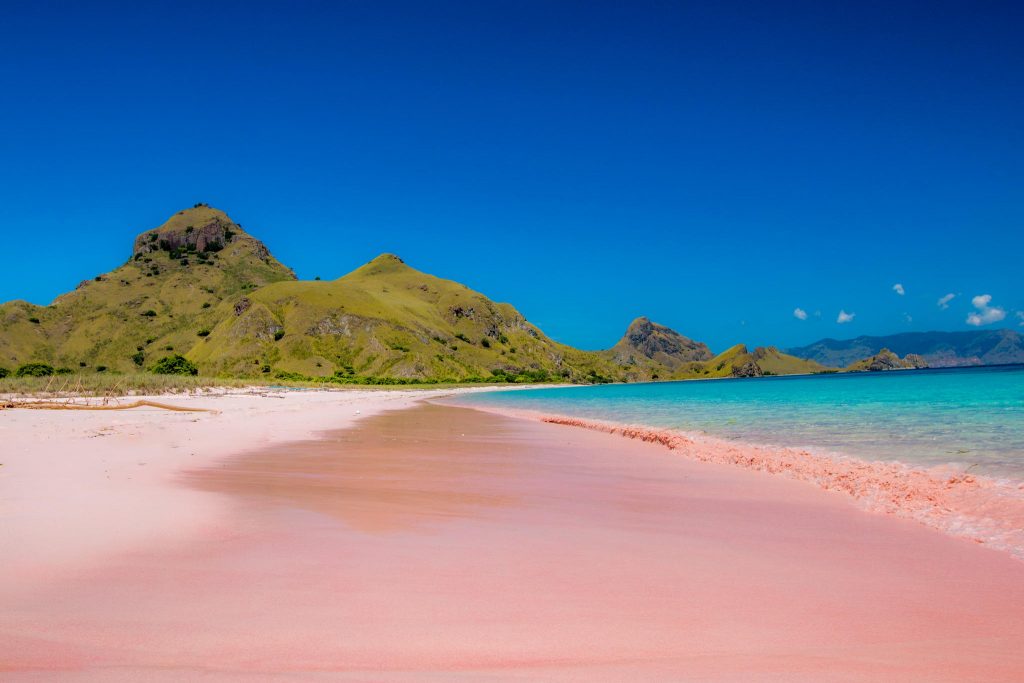 komodo-pink-beach