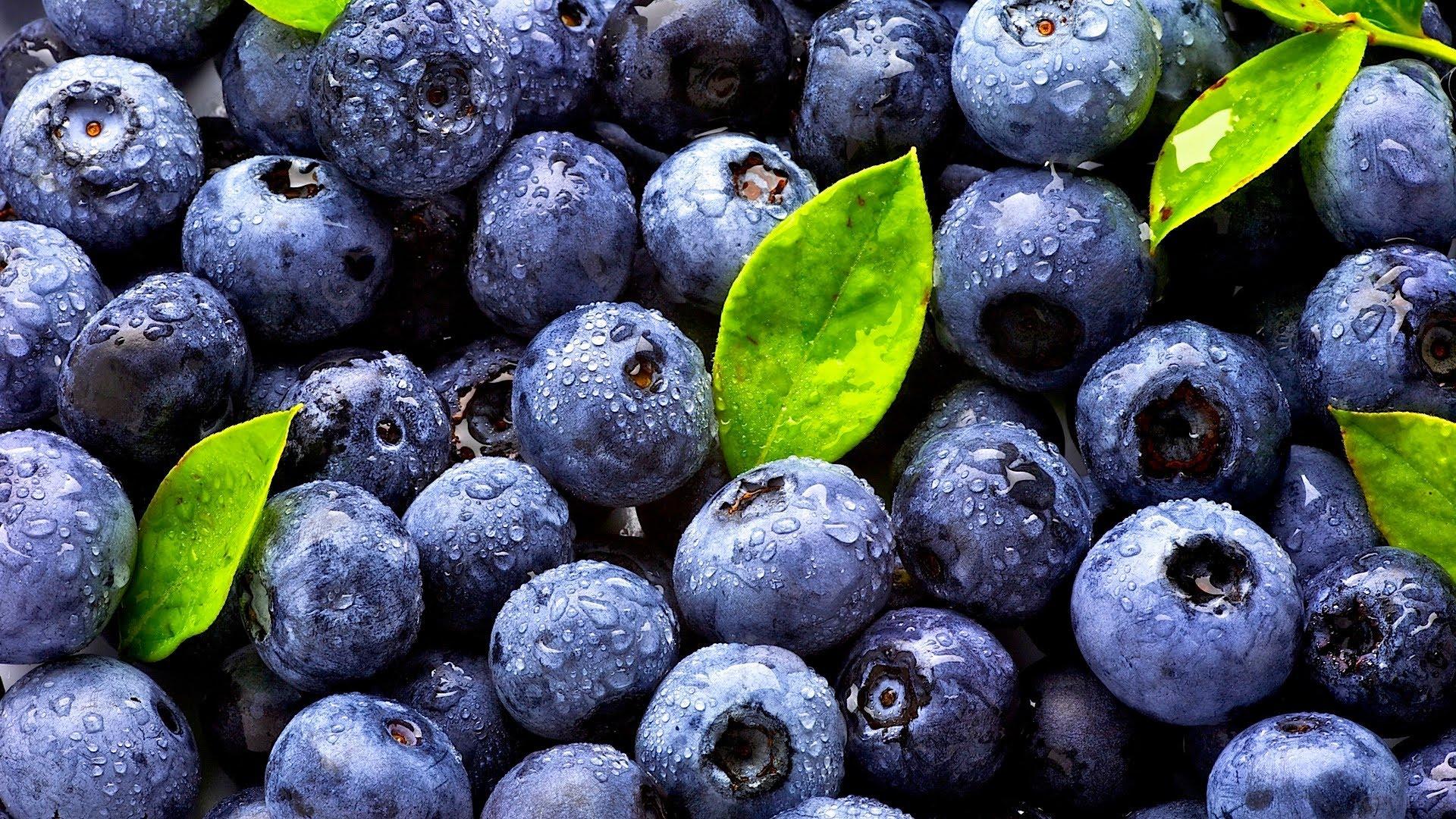 blueberries, antioxidant, healthy, food, colors
