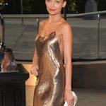 2013 CFDA Fashion Awards – Cocktails