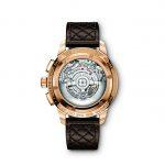 IW380703_Ingenieur_Goodwood_Back