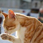 img_4766-min