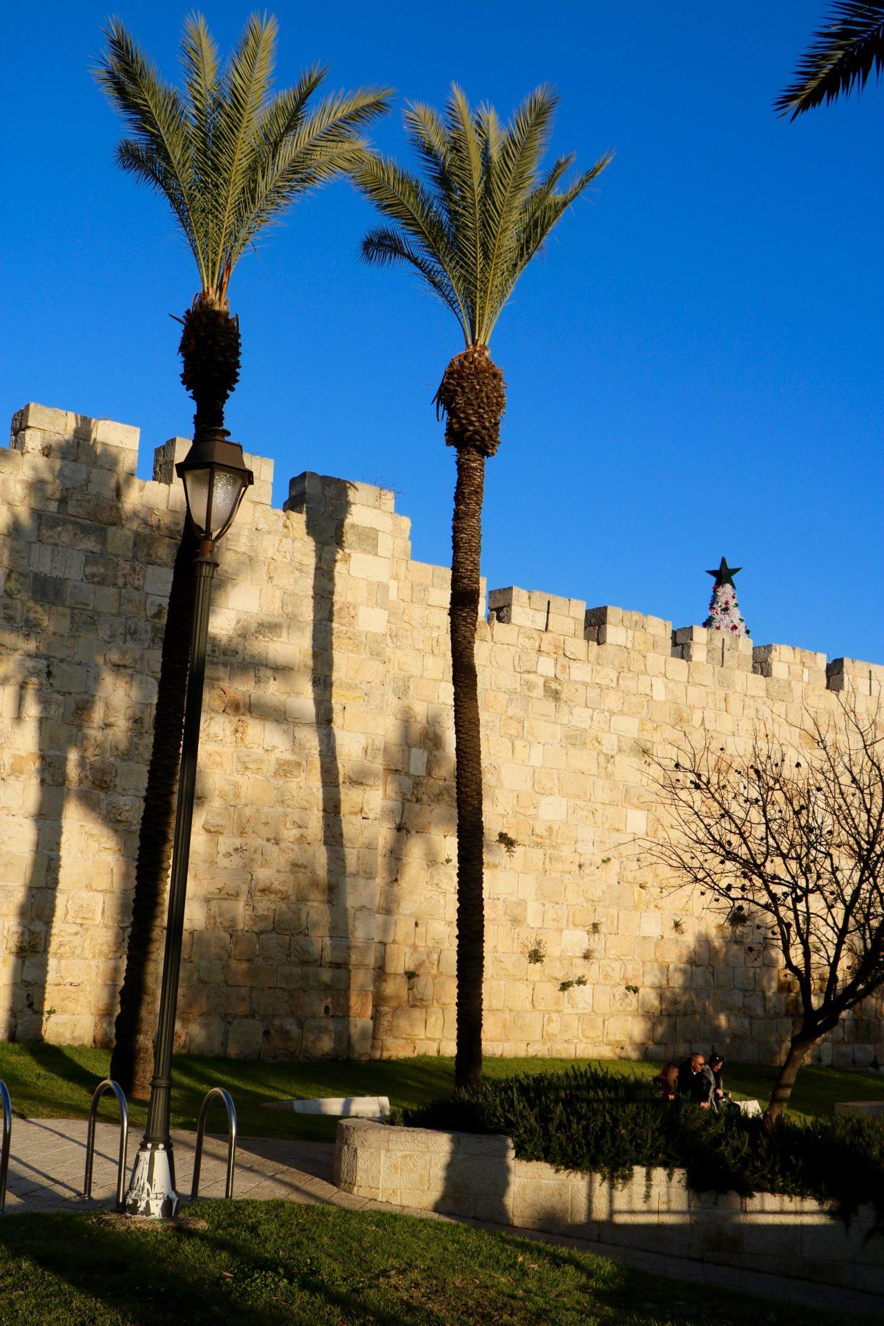 tel aviv ask the monsters