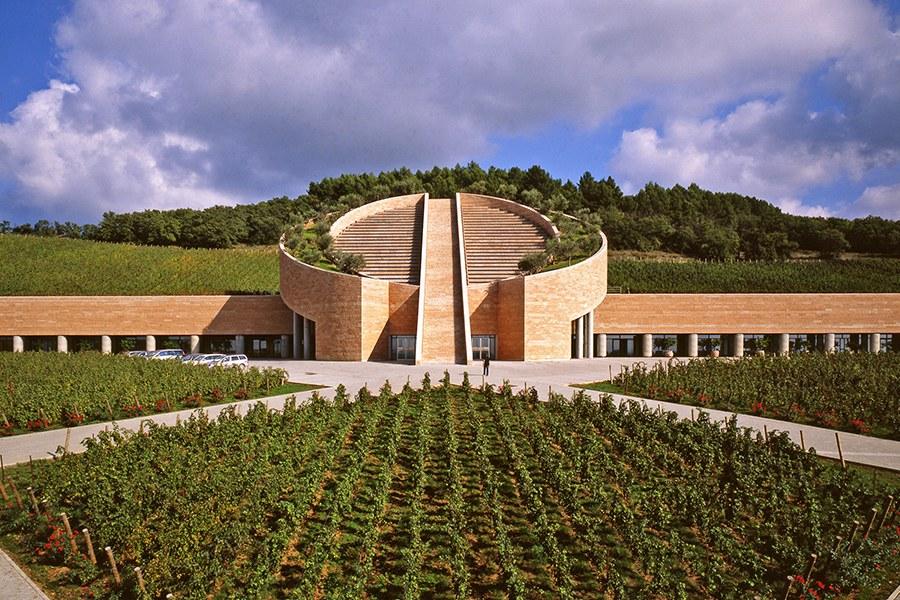 architects winery