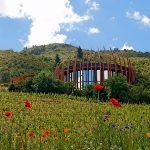 dam-images-architecture-2014-09-wineries-best-designed-wineries-11-lapostolle-clos-apalta-chile