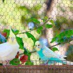 IMG_8274 (1)