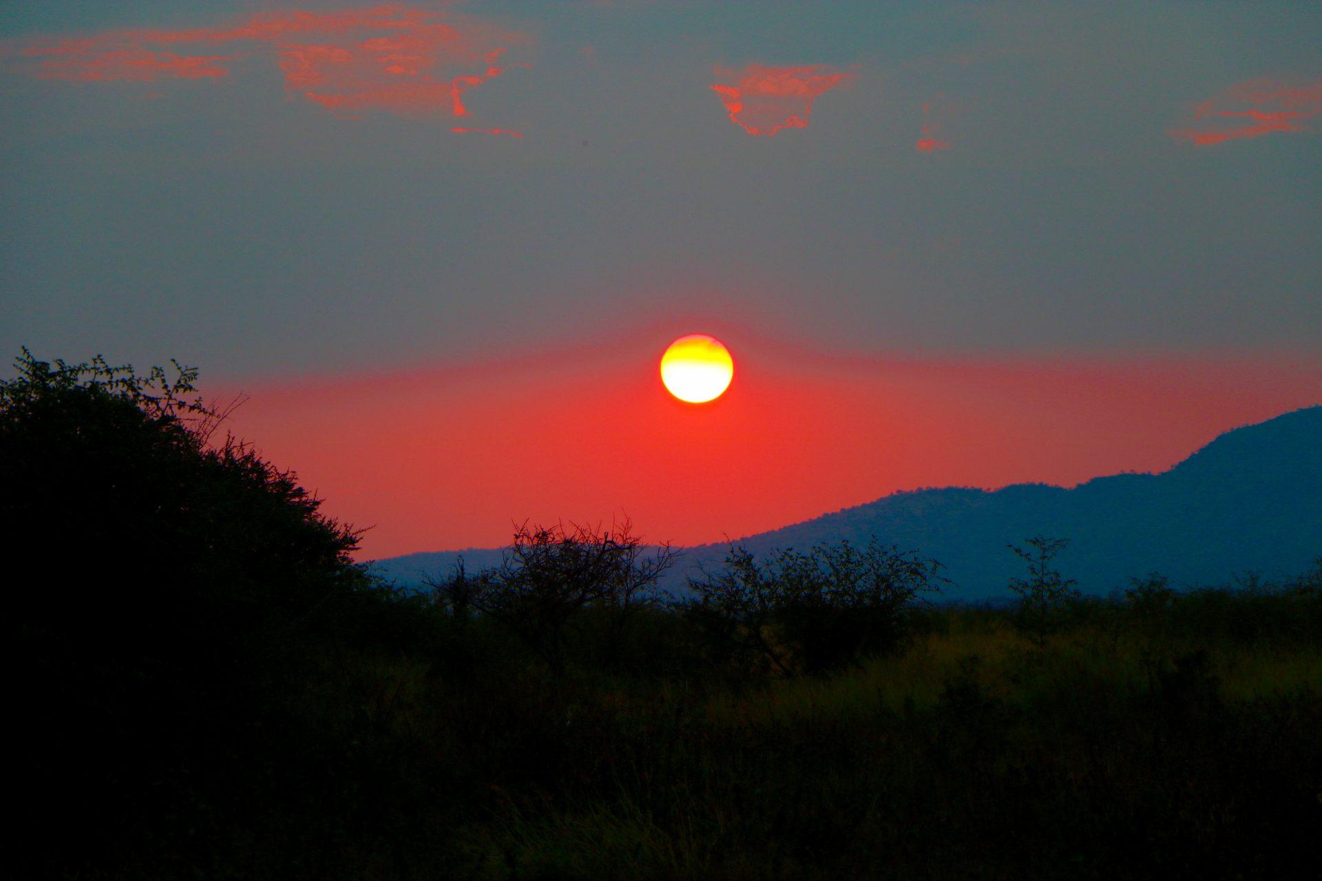safari motswiri madiqwe