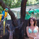 thumbnail_IMG_8510