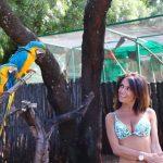 thumbnail_IMG_8511