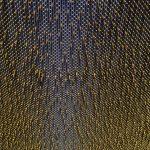 IMG_0785