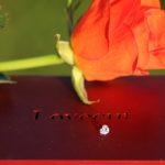 thumbnail_IMG_8547