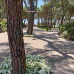 thumbnail_IMG_3286