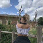 thumbnail_IMG_2295