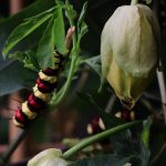 thumbnail_IMG_2539