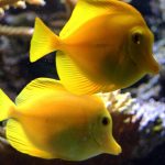thumbnail_IMG_2540