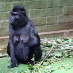 thumbnail_IMG_2543