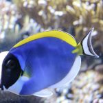 thumbnail_IMG_9756