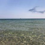 IMG_1882