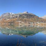 thumbnail_IMG_0858