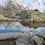 thumbnail_IMG_4484