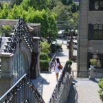 thumbnail_IMG_1537