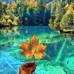 Screen Shot 2019-12-22 at 19.40.14