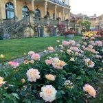 thumbnail_IMG_1174