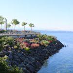 thumbnail_IMG_1411