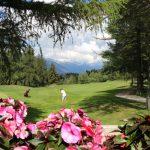 thumbnail_IMG_2024