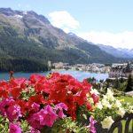 thumbnail_IMG_3735