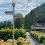 thumbnail_IMG_2927