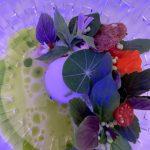 thumbnail_IMG_3213