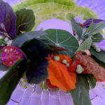 thumbnail_IMG_3215
