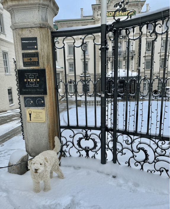 kronenhof pontresina