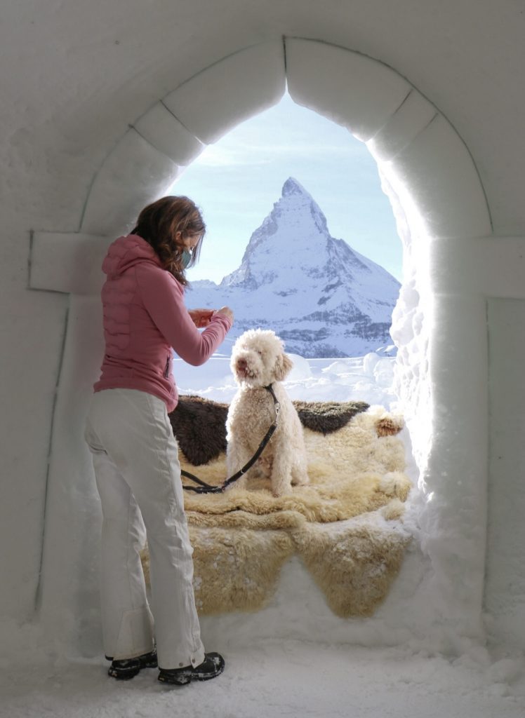 luxuryigloo igludorf