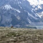 IMG_5514