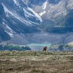 IMG_5516