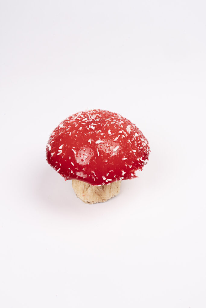 sapori ticino